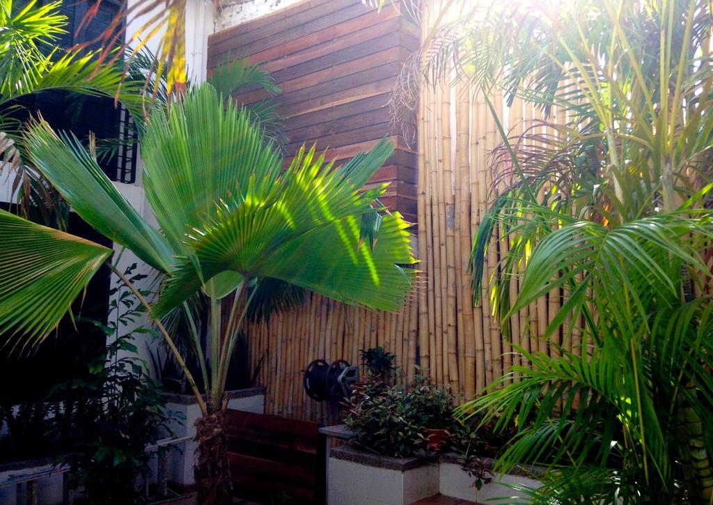 Aluna Hostel *
