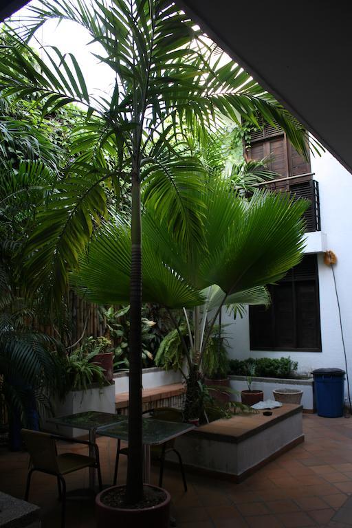 Aluna Santa Marta (Magdalena)